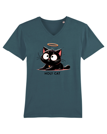 Holy cat 3 Stargazer
