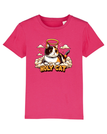 Holy cat 4 Raspberry