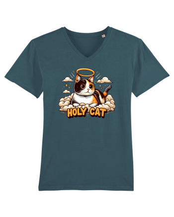Holy cat 4 Stargazer