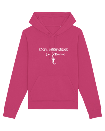 Social Interactions Raspberry