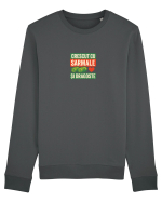 CRESCUT CU  ... SARMALE SI DRAGOSTE Bluză mânecă lungă Unisex Rise