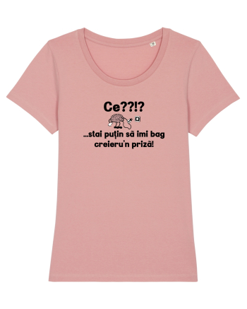 Ce? Stai putin sa imi bag creieru'n priza! Canyon Pink