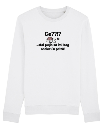 Ce? Stai putin sa imi bag creieru'n priza! White