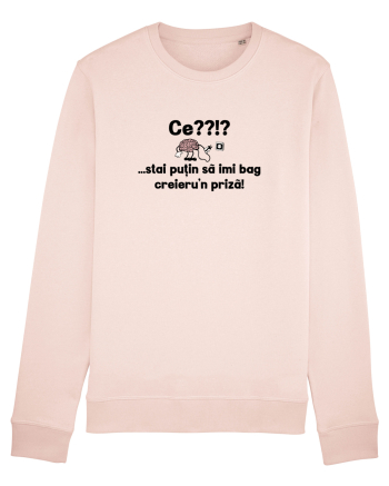 Ce? Stai putin sa imi bag creieru'n priza! Candy Pink