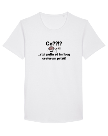 Ce? Stai putin sa imi bag creieru'n priza! White