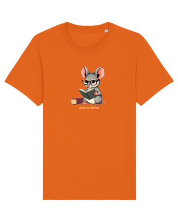 SOARECE DE BIBLIOTECA Bright Orange