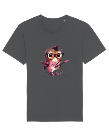 Pink Punk -robin 1 Anthracite