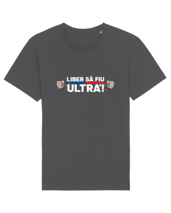 Liber sa fiu Ultra Rosu Albastru Anthracite