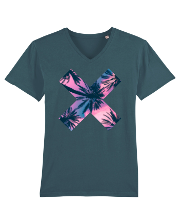 X Palms Stargazer