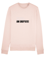 AM VENIT, am văzut,  AM DREPTATE! Bluză mânecă lungă Unisex Rise