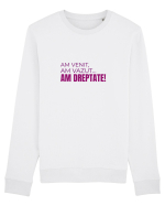 AM VENIT, am văzut, AM DREPTATE!  Bluză mânecă lungă Unisex Rise