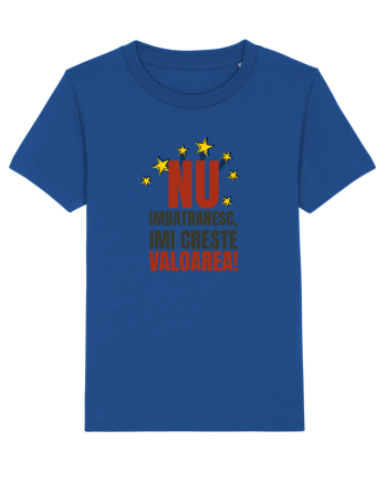Nu imbatranesc, imi creste valoarea  Majorelle Blue