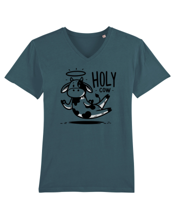 Holy Cow - Floating meditation Stargazer