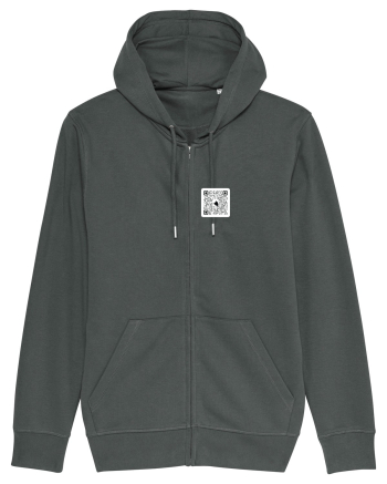 Hidden cat Anthracite