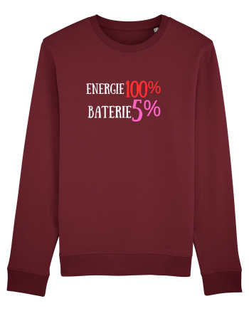 Energie 100%,Baterie  5% Burgundy