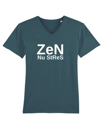 Zen nu stres Stargazer