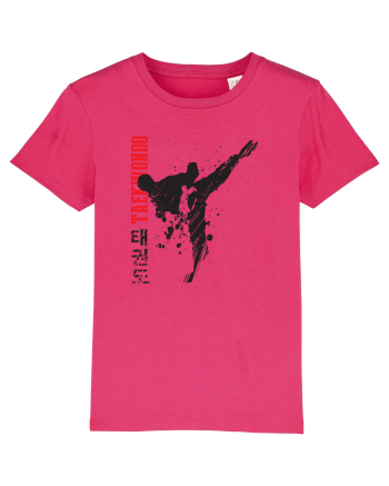 Taekwondo Raspberry