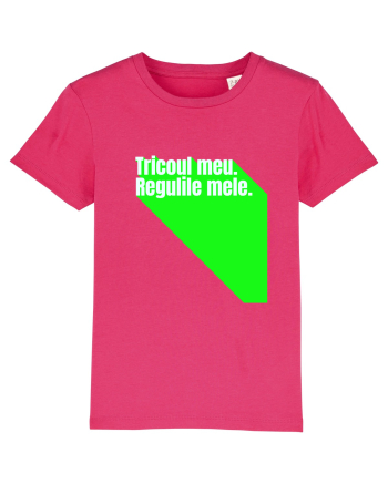 Tricoul meu. Regulile mele  Raspberry