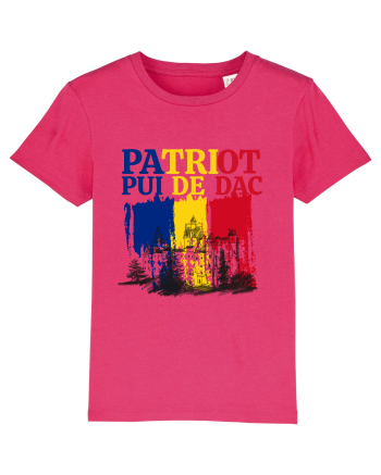 Patriot.Pui de dac Raspberry