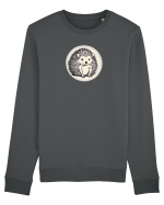 ARICI 2 Bluză mânecă lungă Unisex Rise