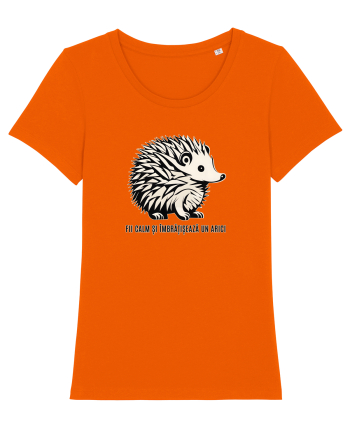 ARICI 4 - FII CALM SI IMBRATISEAZA UN ARICI Bright Orange