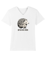 ARICI 5 - KEEP CALM AND HUG A HEDGEHOG Tricou mânecă scurtă guler V Bărbat Presenter
