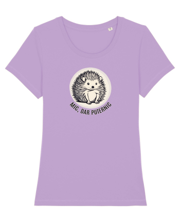 ARICI 6 - MIC, DAR PUTERNIC Lavender Dawn