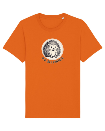 ARICI 6 - MIC, DAR PUTERNIC Bright Orange