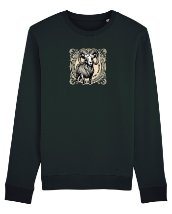 BERBEC 2 - EWE, AMAZING! Black