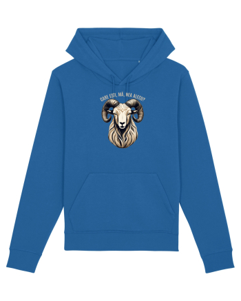 BERBEC 3 - CARE ESTI, MA, NEA ALECU`?!? Royal Blue