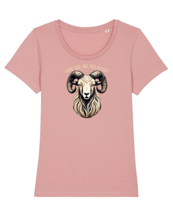 BERBEC 3 - CARE ESTI, MA, NEA ALECU`?!? Canyon Pink