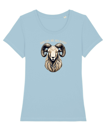 BERBEC 3 - CARE ESTI, MA, NEA ALECU`?!? Sky Blue