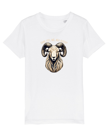 BERBEC 3 - CARE ESTI, MA, NEA ALECU`?!? White