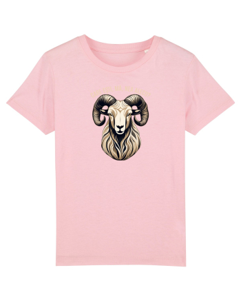 BERBEC 3 - CARE ESTI, MA, NEA ALECU`?!? Cotton Pink