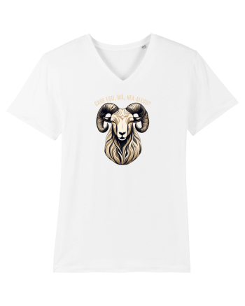 BERBEC 3 - CARE ESTI, MA, NEA ALECU`?!? White