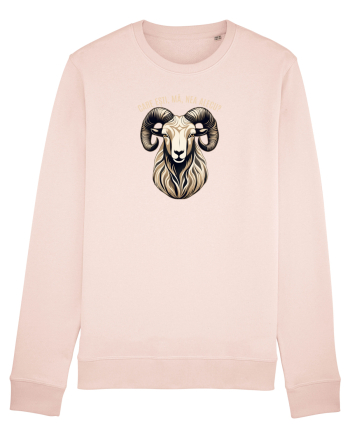 BERBEC 3 - CARE ESTI, MA, NEA ALECU`?!? Candy Pink