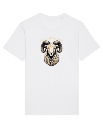 BERBEC 3 - CARE ESTI, MA, NEA ALECU`?!? White