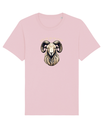 BERBEC 3 - CARE ESTI, MA, NEA ALECU`?!? Cotton Pink