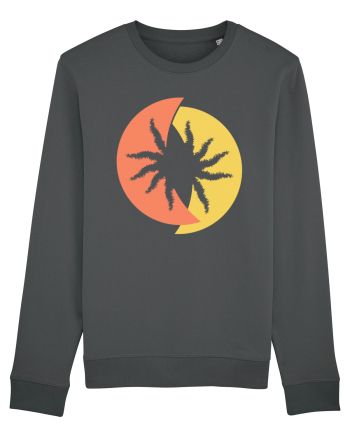 Tarantula Anthracite