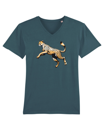 GHEPARD 1 ALERGAND - SARIND Stargazer