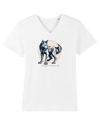 LUP 4 - IN SALBATICIE STA PASTRAREA LUMII White