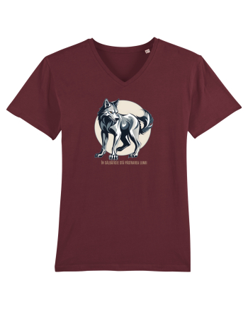 LUP 4 - IN SALBATICIE STA PASTRAREA LUMII Burgundy