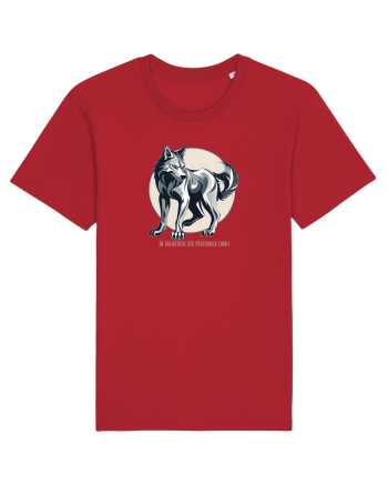 LUP 4 - IN SALBATICIE STA PASTRAREA LUMII Red