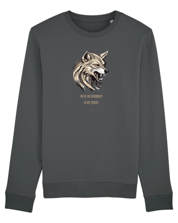 LUP 5 -  NU M-AM SCHIMBAT, M-AM TREZIT! Anthracite