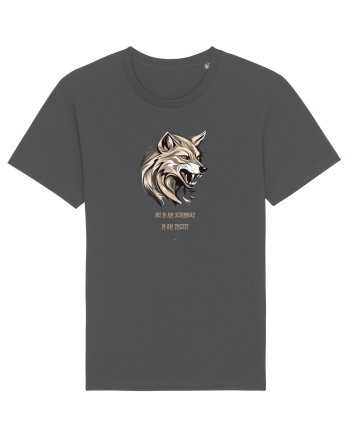LUP 5 -  NU M-AM SCHIMBAT, M-AM TREZIT! Anthracite