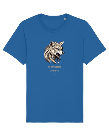LUP 5 -  NU M-AM SCHIMBAT, M-AM TREZIT! Royal Blue