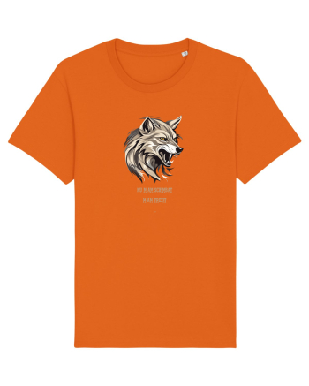 LUP 5 -  NU M-AM SCHIMBAT, M-AM TREZIT! Bright Orange