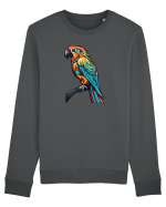 PAPAGAL 4 Bluză mânecă lungă Unisex Rise