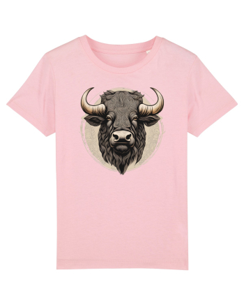 ZIMBRU 1 - arta ornamentala Cotton Pink
