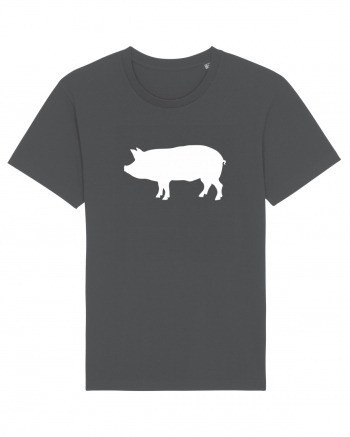 Porc Anthracite